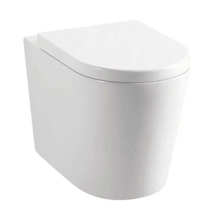 Back to Wall Toilet with Soft Close Seat
